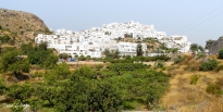 DSCN0536