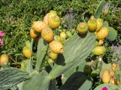 DSCN0576