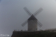 MG_5362-Editar