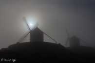 MG_5366