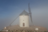 MG_5368