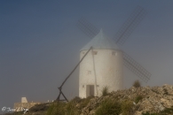 MG_5372