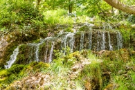 MG_4329
