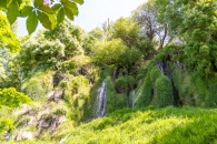 MG_4335