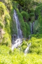 MG_4338
