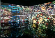 20231210_164115