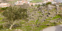 MG_7612-Pano-Editar