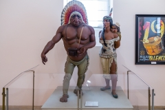 Família de Turistes Indis