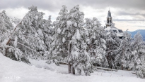 MG_4819-Pano-Editar