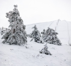 MG_4832-Pano-Editar