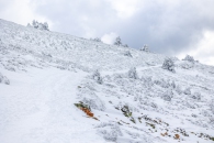 MG_4908