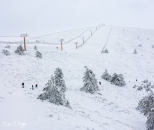 MG_5106-Pano