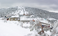 MG_5163-Pano