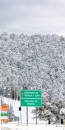 MG_5172-Pano