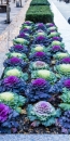 Jardines