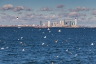 Vistas desde el Ferry de Staten Island
