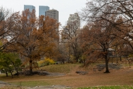 Central Park