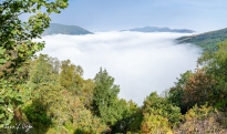 J5A8391-Pano-Editar