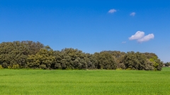 baztan(03)