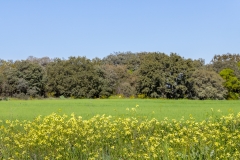 baztan(04)