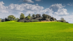 baztan(11)