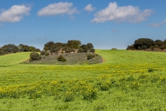 baztan(14)