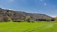 baztan(18)