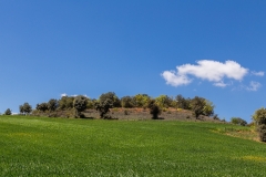 baztan(24)