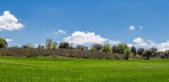 baztan(26)