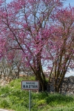 baztan(29)
