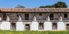 baztan(35)