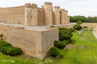MG_2835