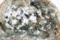 J5A9146