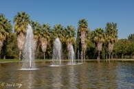Estanque