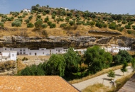 Sierra de Grazalema