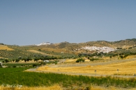 Torre Alhaquime