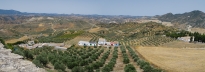 Olvera