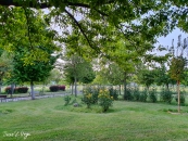 20200509_071441