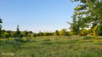 20200509_074425