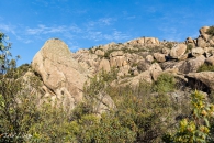 MG_3837