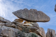 MG_4054-HDR