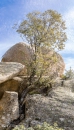 MG_4212-Pano