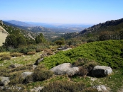 IMG_20191002_133051