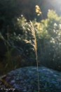 M5A9741-Editar-2