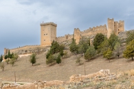 MG_9009