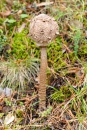 J5A0220