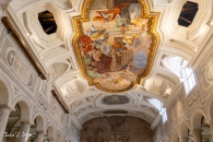 IMG_7918
