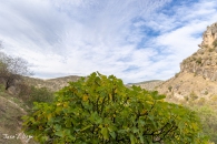 MG_4302-HDR