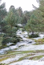 MG_6263