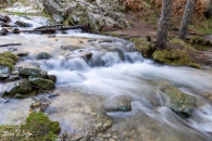 MG_6329